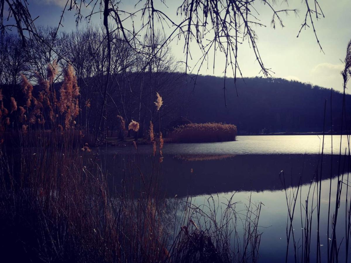 Varga Villa Orfű Exteriör bild