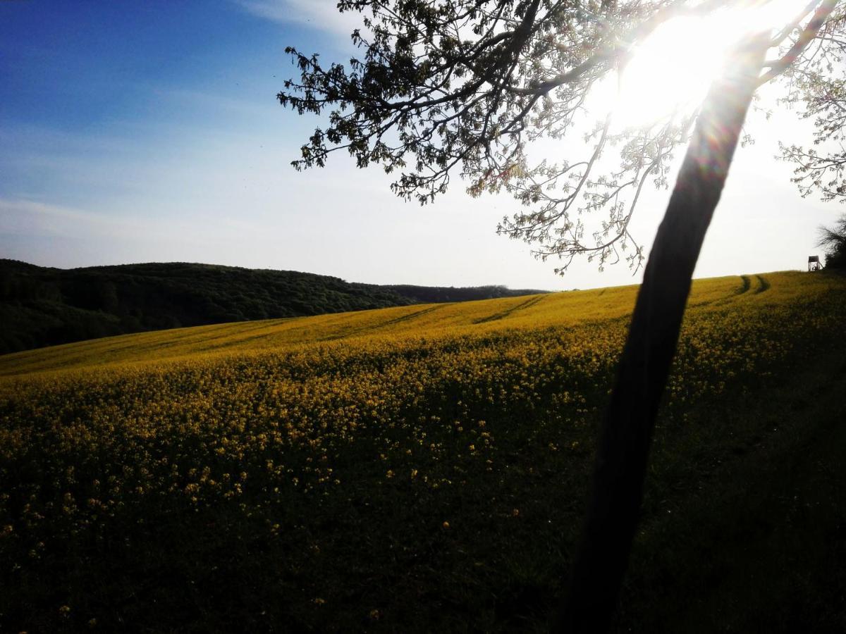 Varga Villa Orfű Exteriör bild