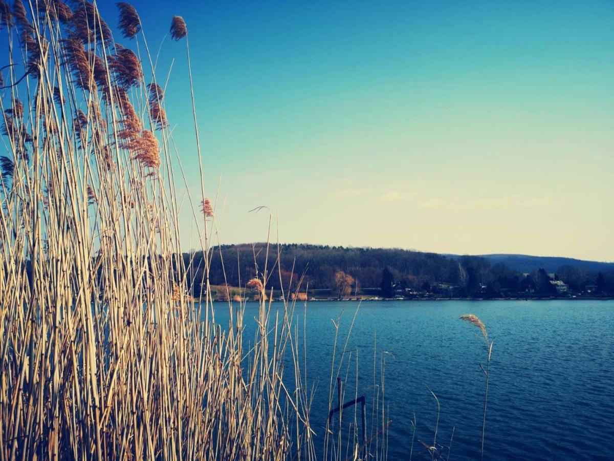 Varga Villa Orfű Exteriör bild