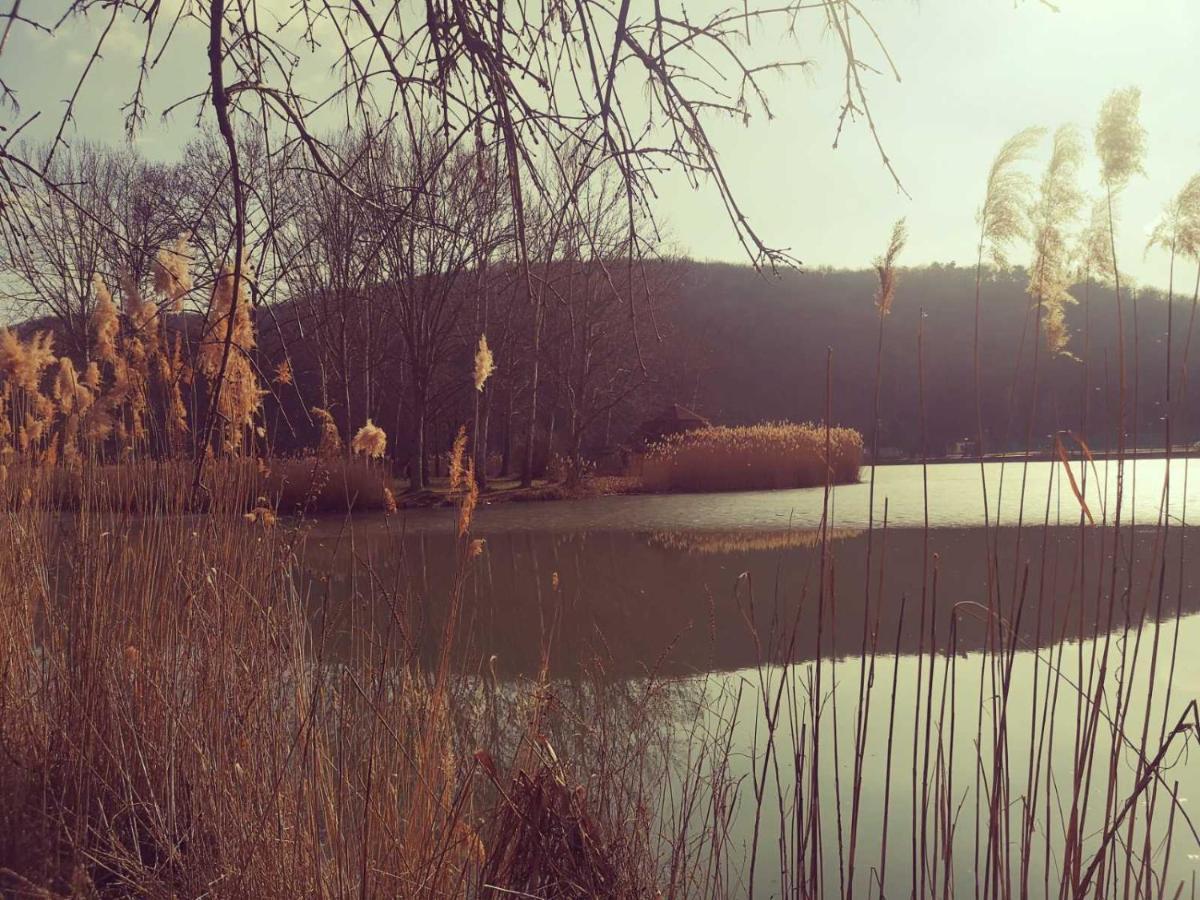 Varga Villa Orfű Exteriör bild