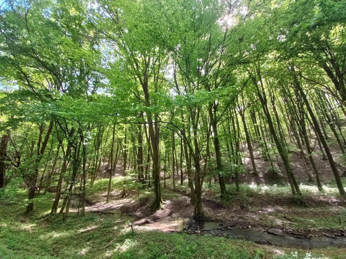 Varga Villa Orfű Exteriör bild