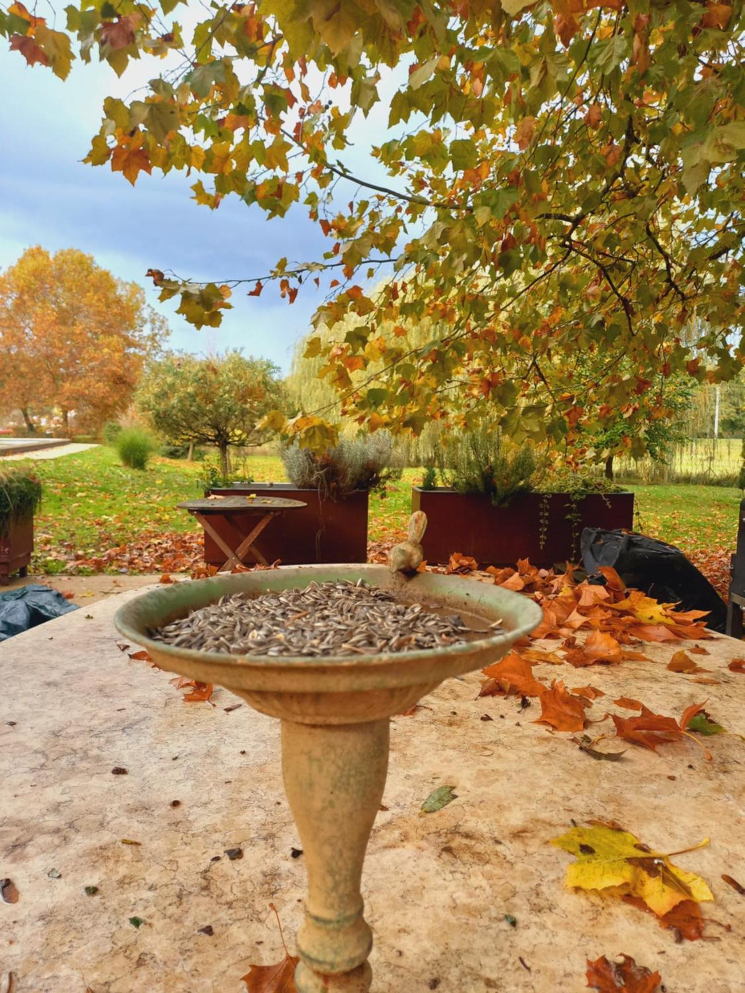 Varga Villa Orfű Exteriör bild