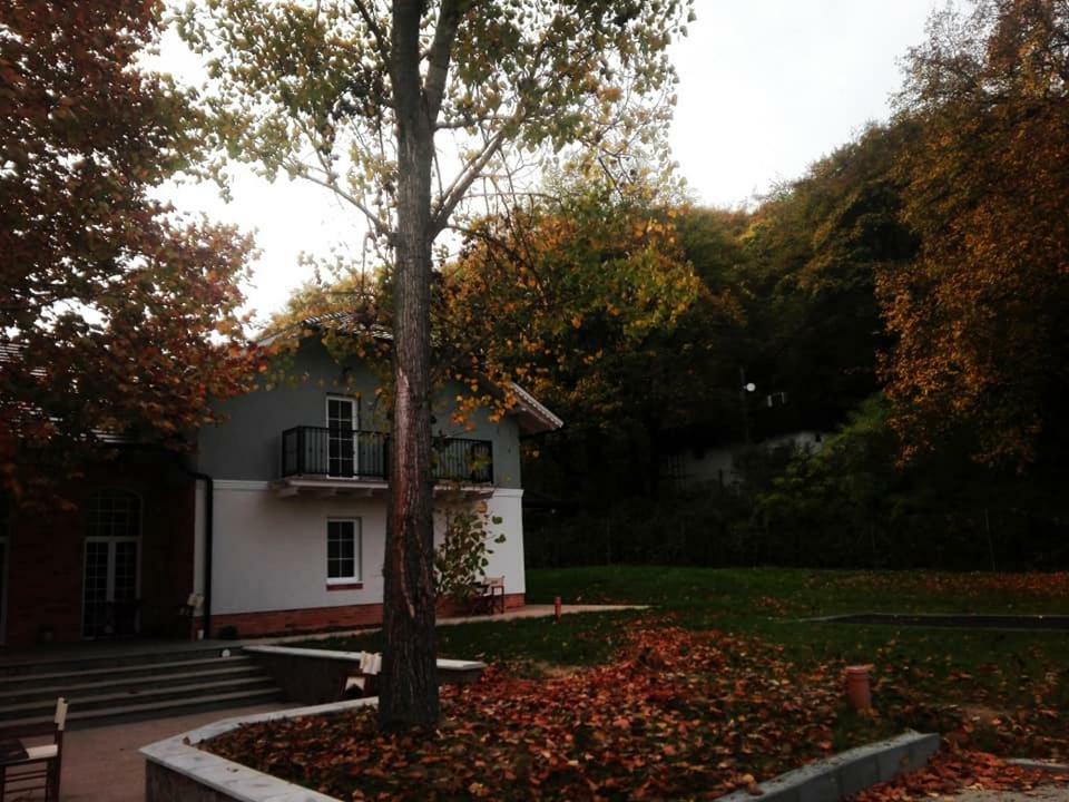 Varga Villa Orfű Exteriör bild